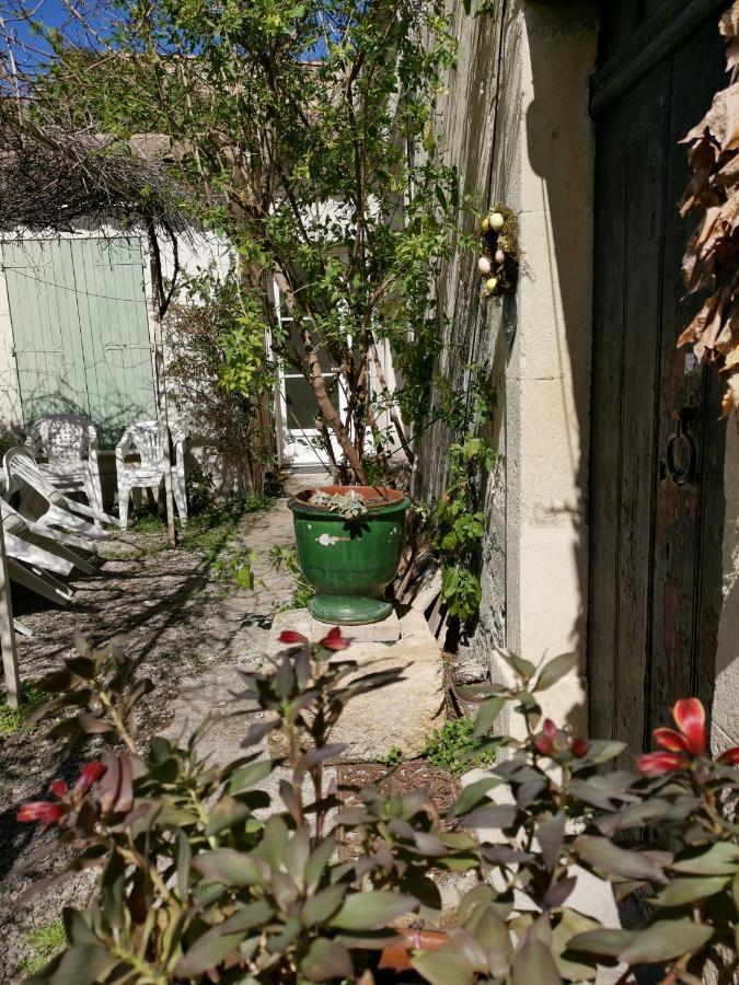La Taniere 16 Couchages Βίλα Vergèze Εξωτερικό φωτογραφία